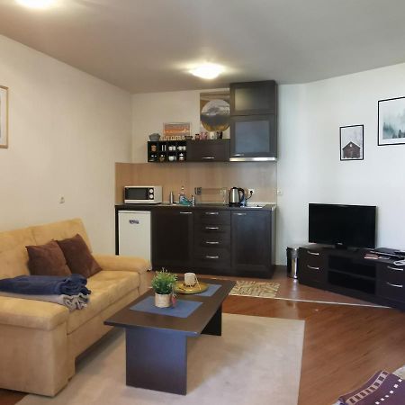Sunny Studio Apartment - Few Steps From Gondola بانسكو المظهر الخارجي الصورة