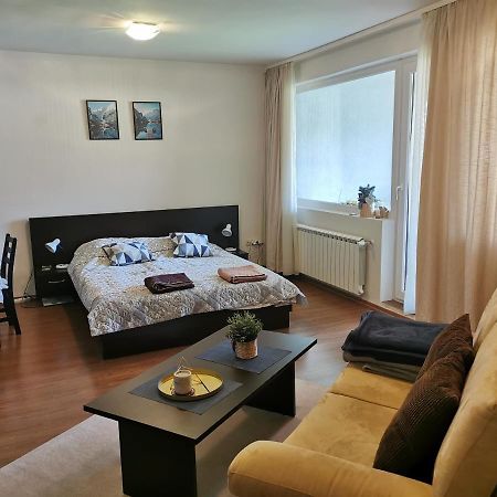Sunny Studio Apartment - Few Steps From Gondola بانسكو المظهر الخارجي الصورة