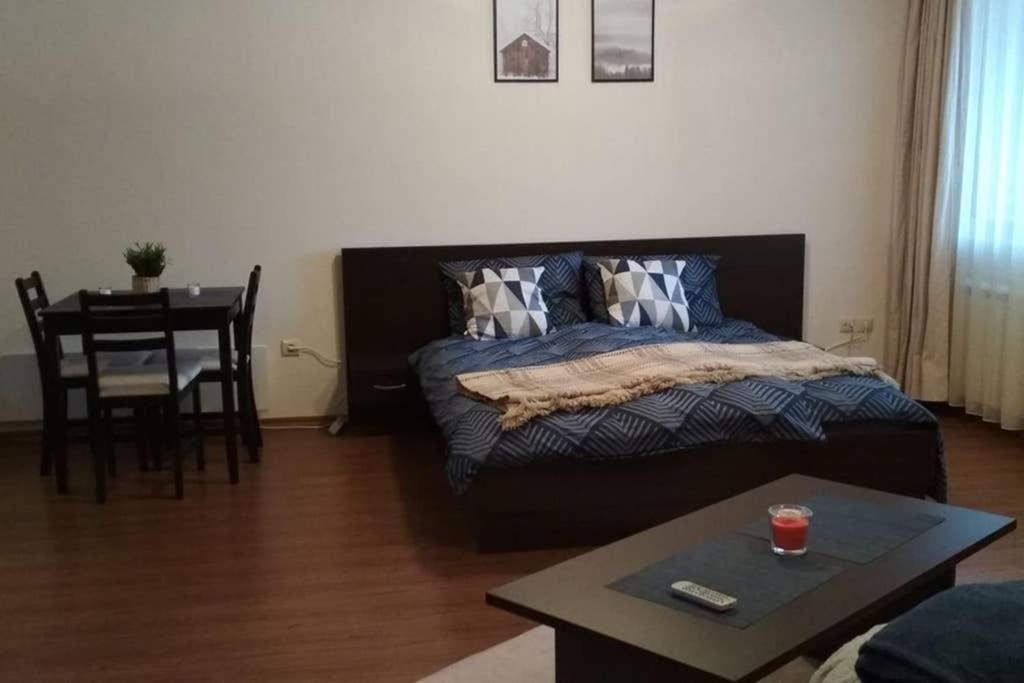 Sunny Studio Apartment - Few Steps From Gondola بانسكو المظهر الخارجي الصورة
