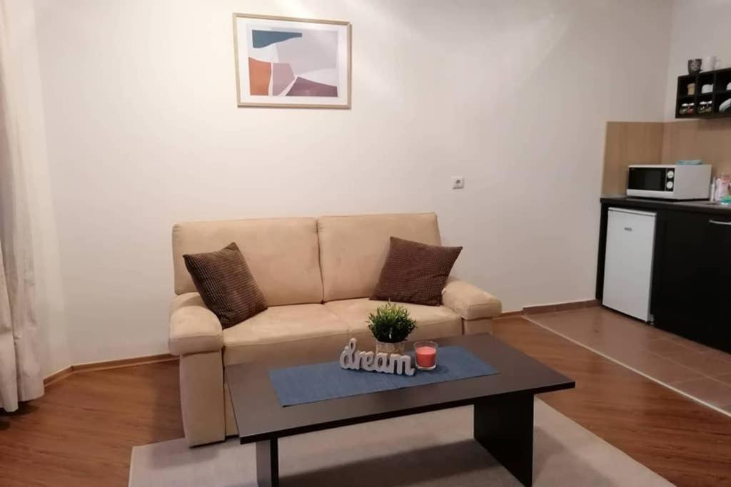 Sunny Studio Apartment - Few Steps From Gondola بانسكو المظهر الخارجي الصورة