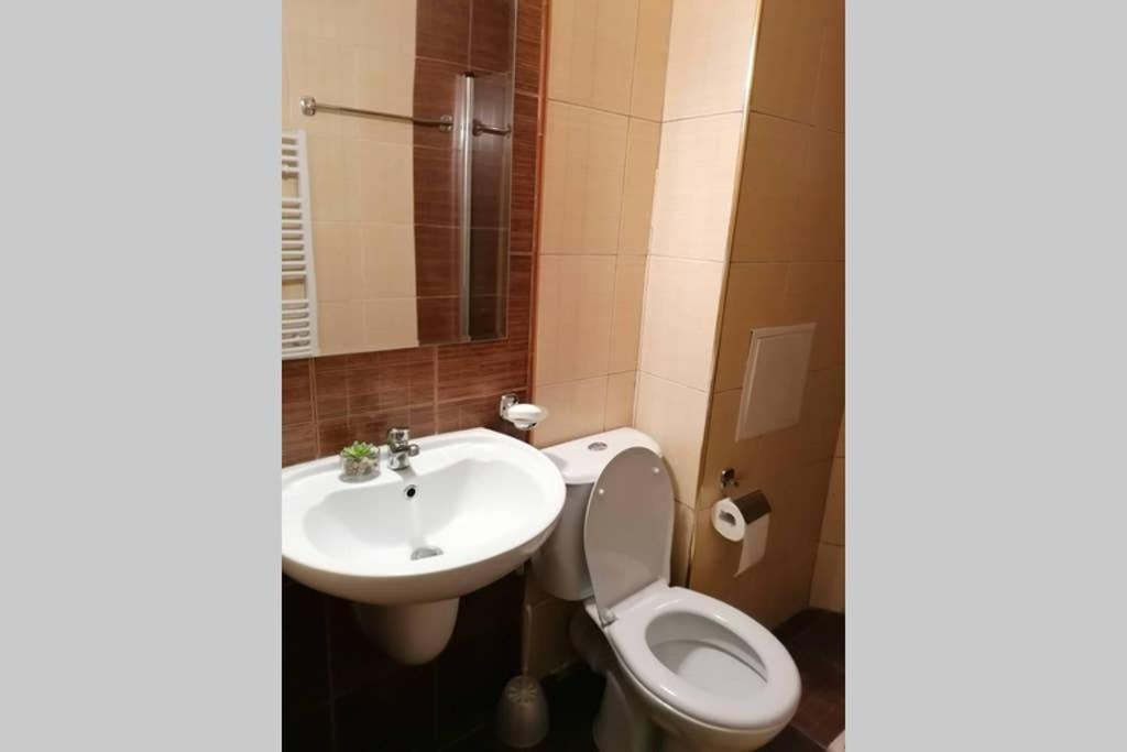 Sunny Studio Apartment - Few Steps From Gondola بانسكو المظهر الخارجي الصورة