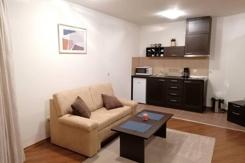 Sunny Studio Apartment - Few Steps From Gondola بانسكو المظهر الخارجي الصورة