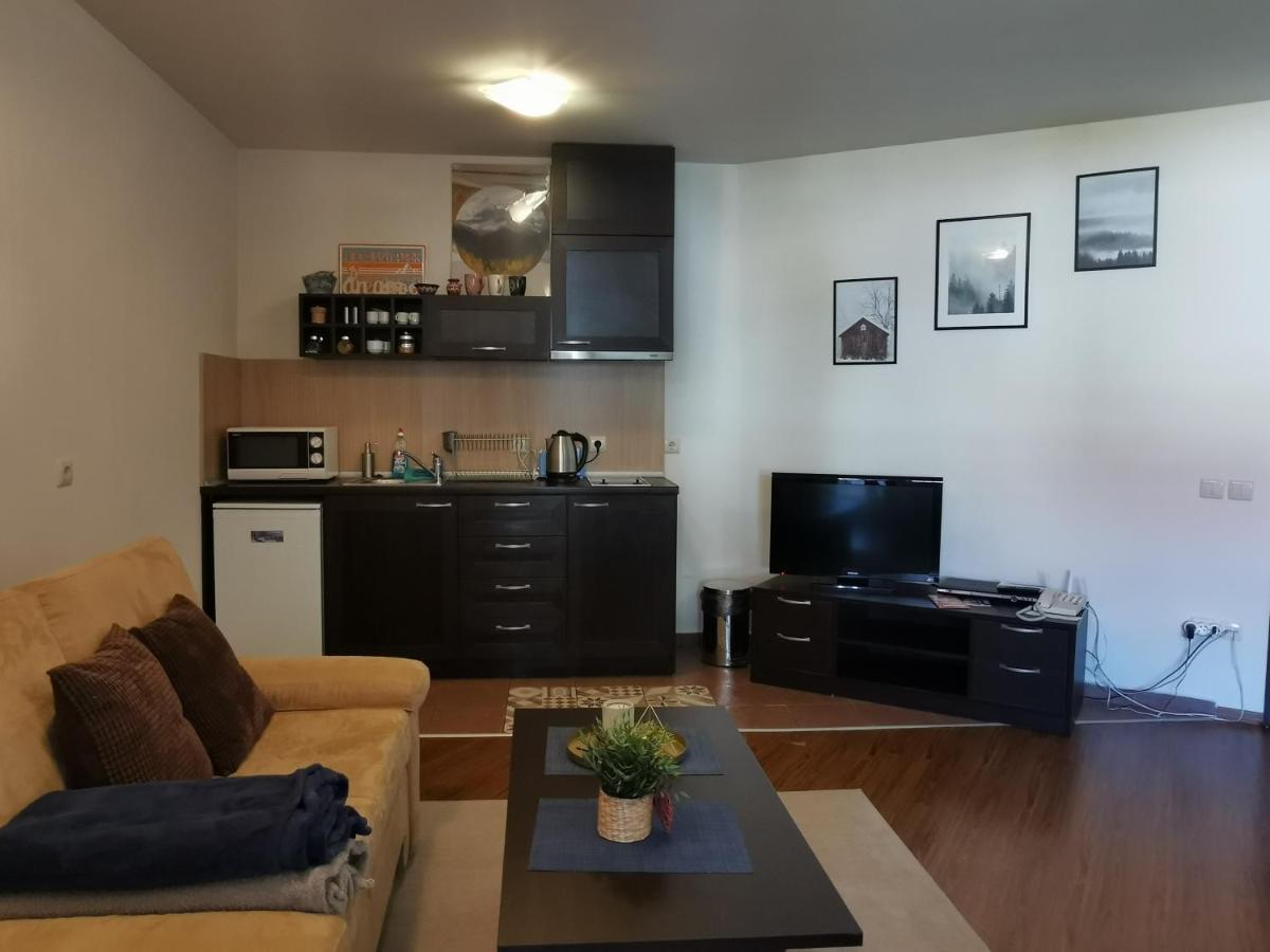 Sunny Studio Apartment - Few Steps From Gondola بانسكو المظهر الخارجي الصورة