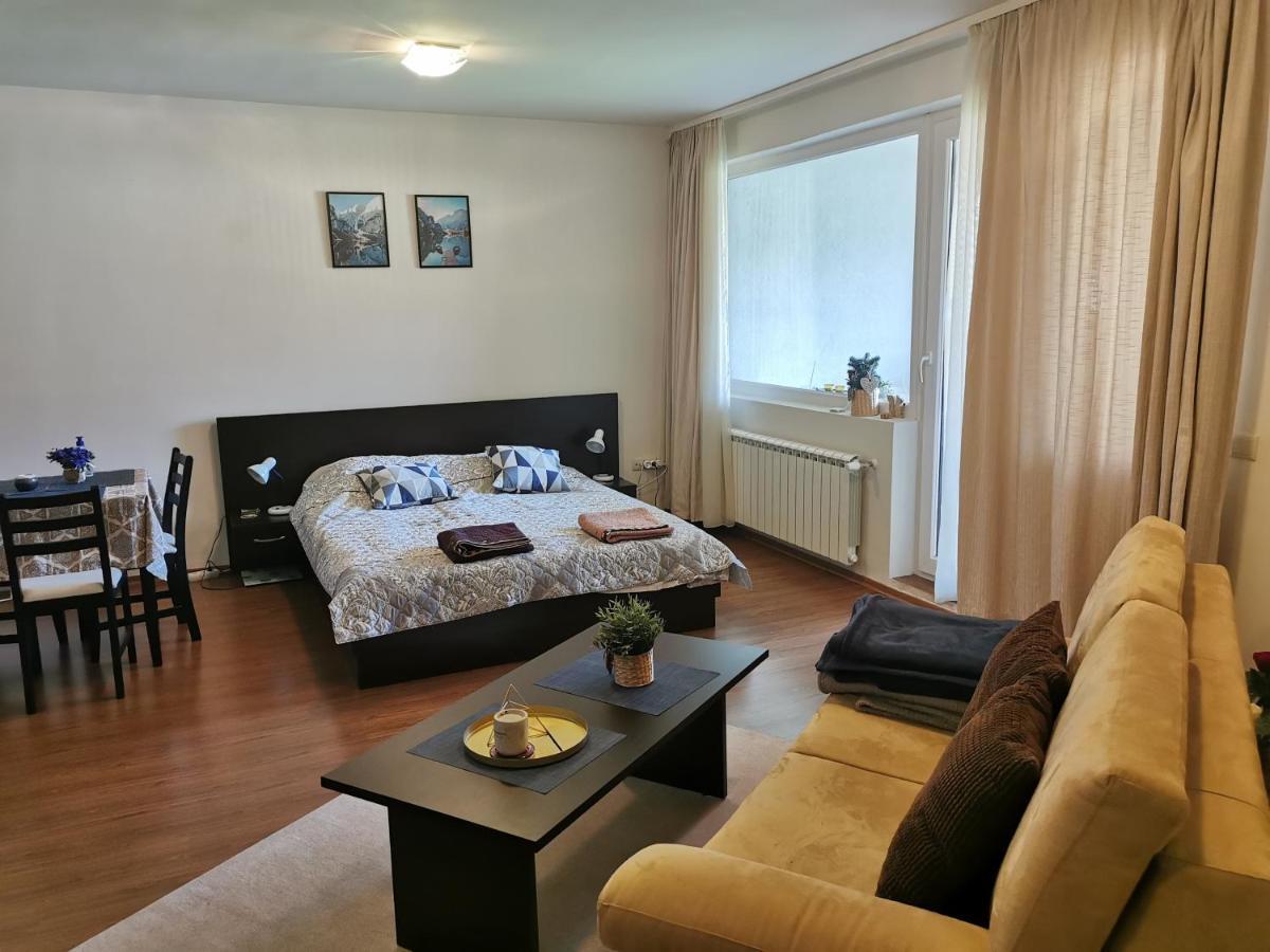 Sunny Studio Apartment - Few Steps From Gondola بانسكو المظهر الخارجي الصورة
