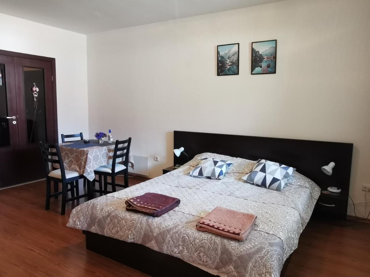 Sunny Studio Apartment - Few Steps From Gondola بانسكو المظهر الخارجي الصورة