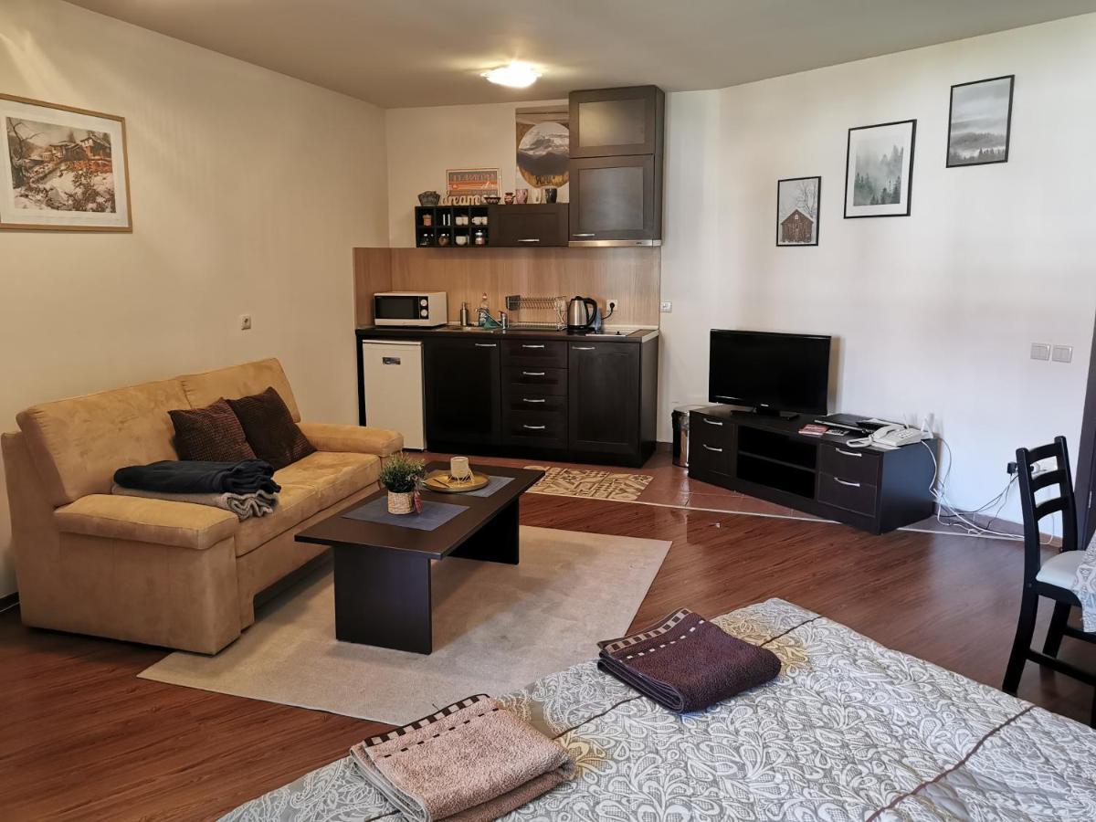 Sunny Studio Apartment - Few Steps From Gondola بانسكو المظهر الخارجي الصورة